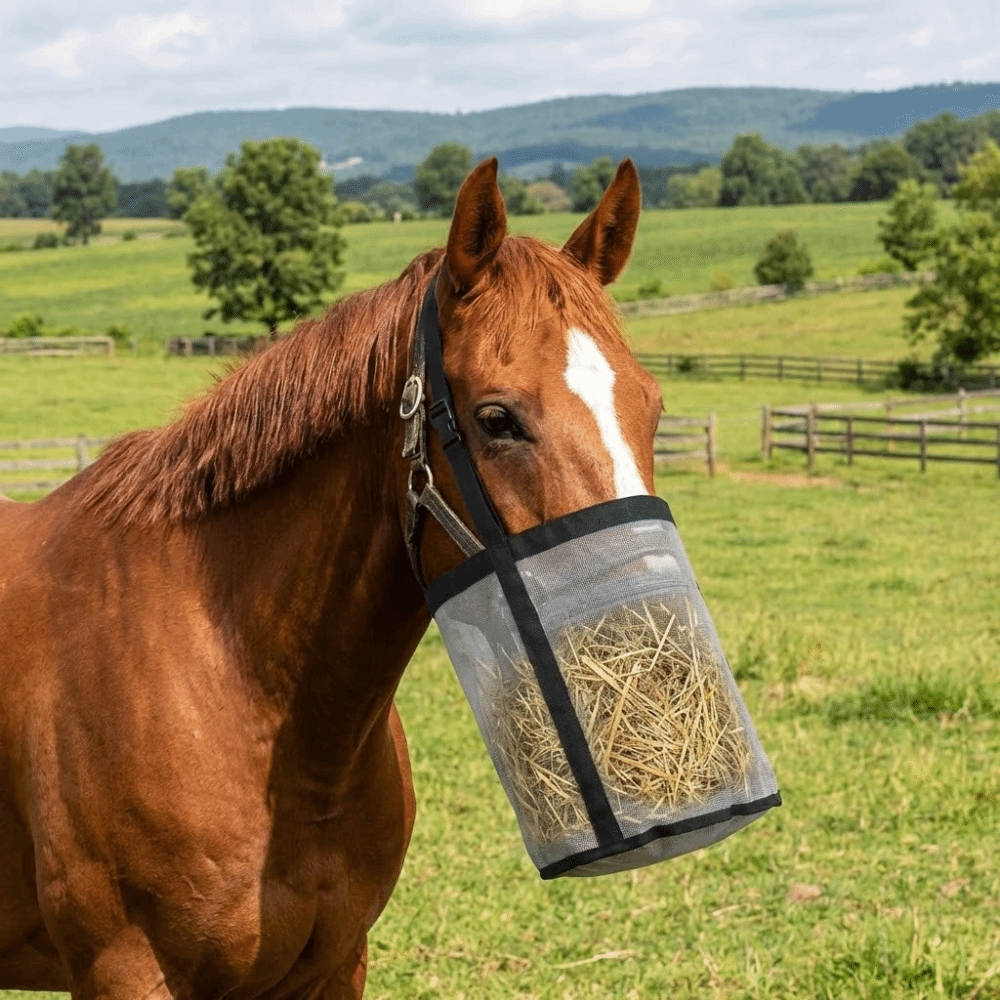 Portable Leak-Proof Horse Feed - Mesh Feeder Bag avis et prix