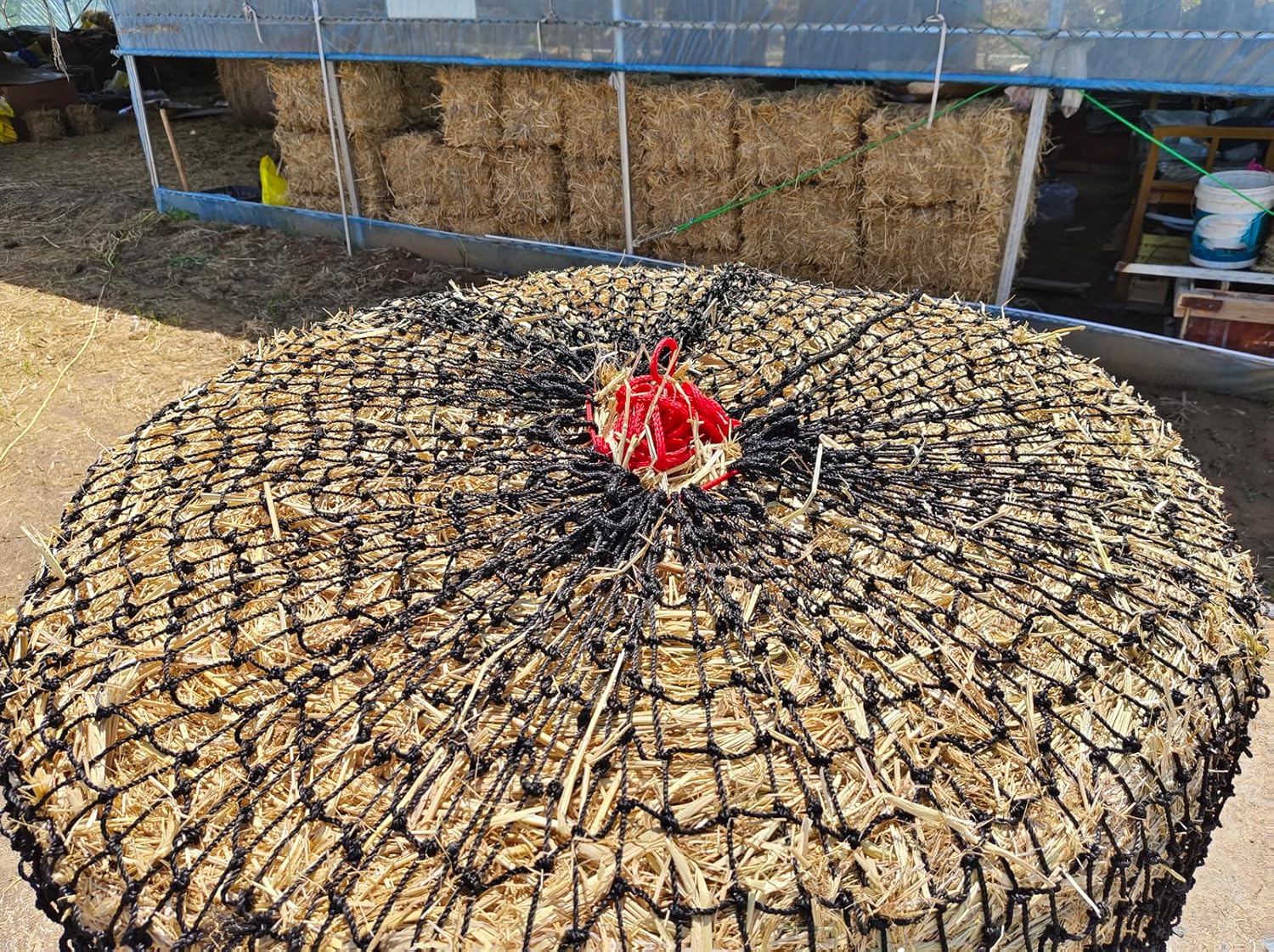 Large Mesh Slow Feed Hay Net H - Mesh Feeder Bag avis et prix