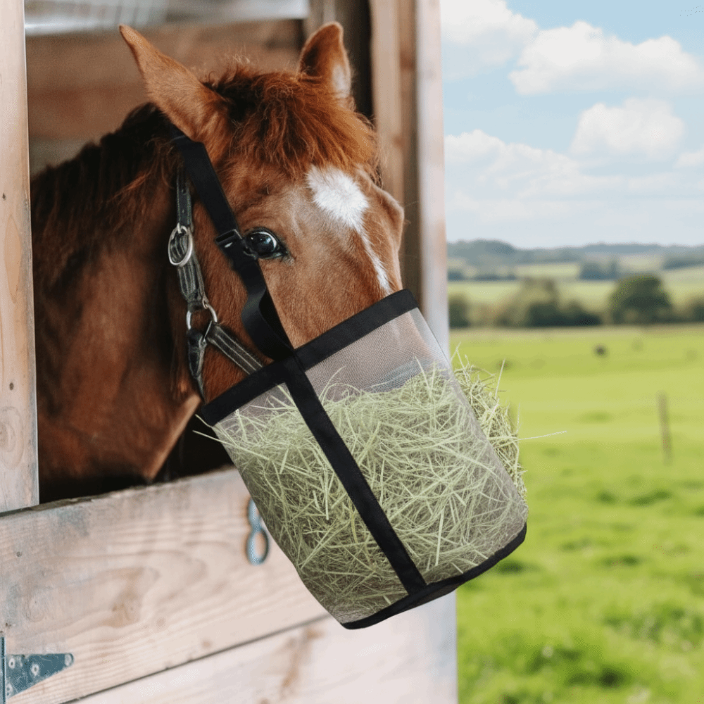 Portable Leak-Proof Horse Feed - Mesh Feeder Bag avis et prix